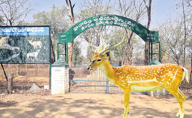 Forest Department Save The Animals Medak - Sakshi