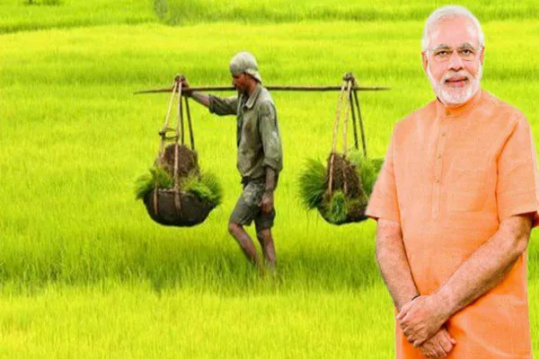 Transfer of PM Kisan funds is today - Sakshi