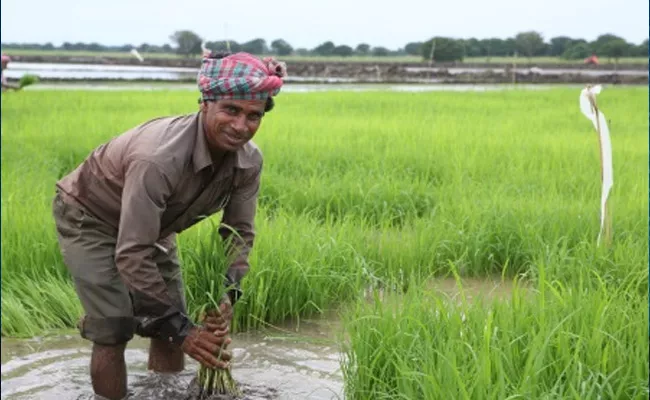 PM Kisan Samman Nidhi Yojna Start - Sakshi