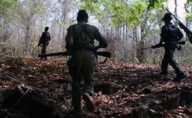 8 Maoists died in Gadchiroli encounter - Sakshi