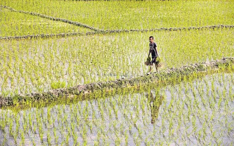 central government launches pm kisan yojana - Sakshi