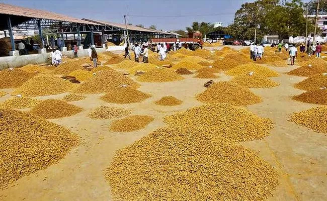 Farmers Problems With Yellow Crops Minimum Price Nizamabad - Sakshi