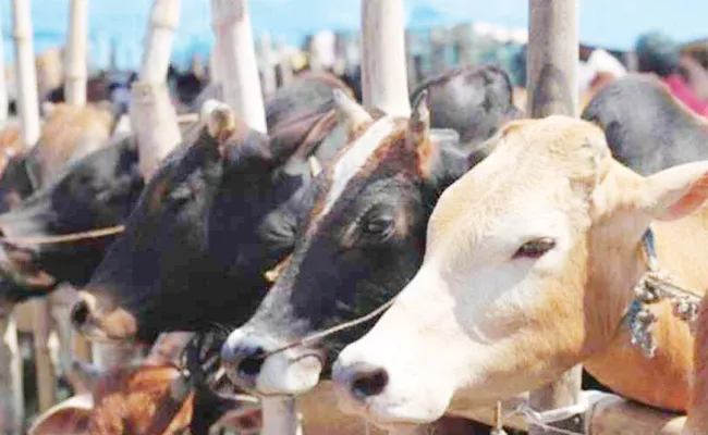 Livestock Census Reporting Telangana - Sakshi