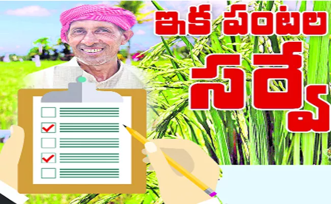 Crops Land Survey In Warangal - Sakshi