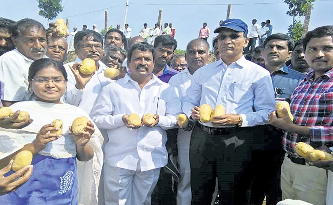 Collector Dharma Reddy Talk On Organic Farming - Sakshi