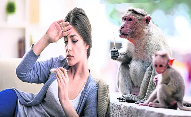 Karnataka People Suffering With Monkey Fever - Sakshi