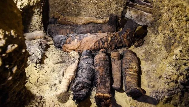 50 Egypt mummies found in Minya - Sakshi