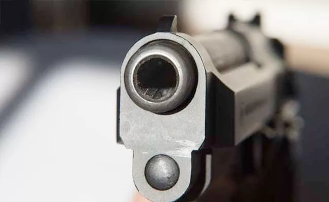 US 4 Year Old Shoots Pregnant Mother - Sakshi