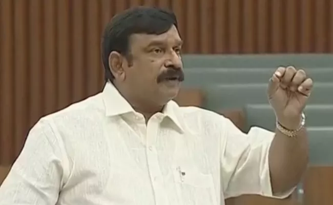 BJP MLA Vishnu Kumar Raju Fires On TDP Government - Sakshi