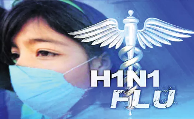 Swine Flu Disease In Nalgonda - Sakshi