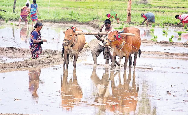 Farmers Problems With Crop Loan Medak - Sakshi