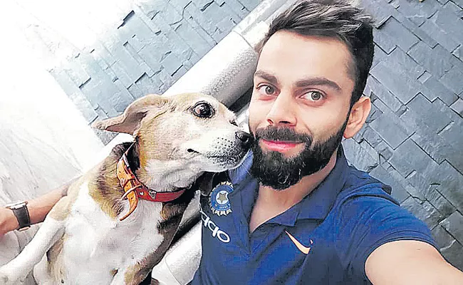 Delhi Cricket Club cancelled Captain Virat Kohli Honor program - Sakshi