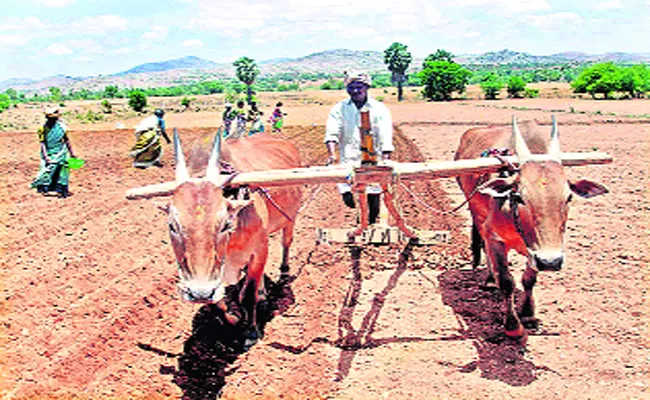 TDP Failed To Reach Out To The Farmers - Sakshi