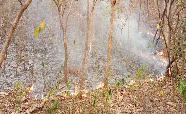 Fire In The Bhupalpally Forest - Sakshi