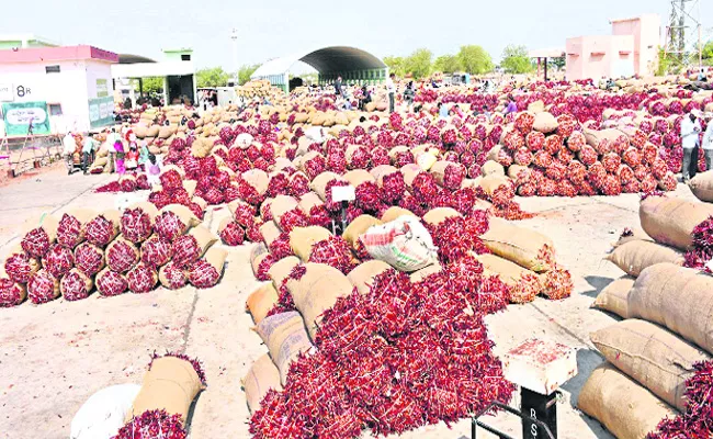 Mirchi Crop Sales At Mirchi Yards - Sakshi