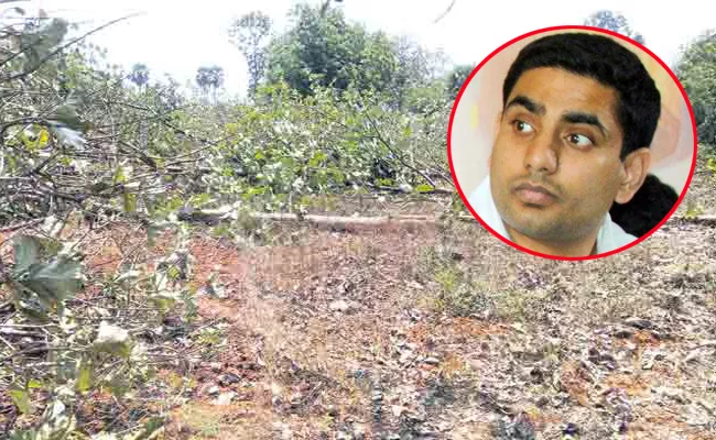 Mangalagiri Constituency Land Grabbers Happy With Nara Lokesh - Sakshi