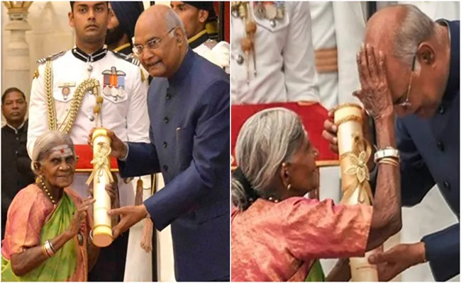 President kovind presents padma shri award to saalumarada thimmakka for social Work - Sakshi