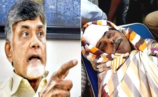 Chandrababu Directions To SIT In Ys Vivekananda Reddy Murder Case - Sakshi