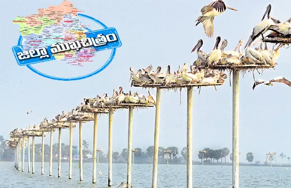 West Godavari District The Symbol Of Political Consciousness is Calm - Sakshi