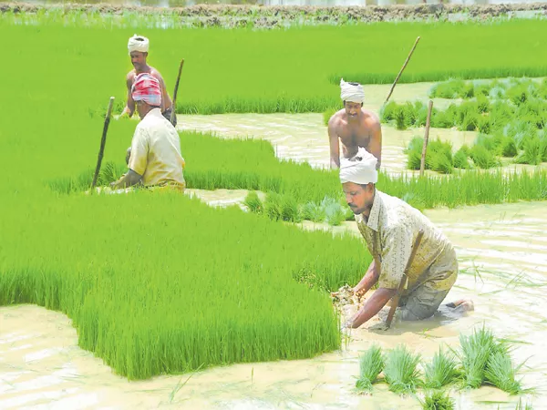 Farmers innovative idea for the Minimum Cost price - Sakshi