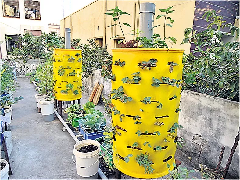 Vortical Tower Garden is useful for home gardening - Sakshi