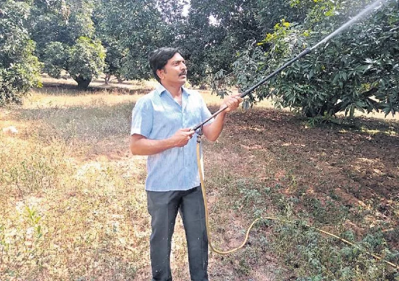 Jagadeesh Reddy Organic Farmer - Sakshi