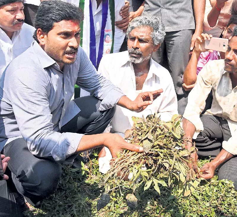 ys jagan given guarantee to crop insurance - Sakshi