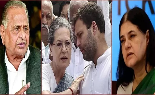 Assets of Sonia, Rahul, Maneka and Mulayam Grew Manifold in 10 years: Report  - Sakshi