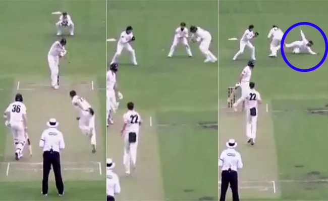 Matthew Wade Amazing Catch In Sheffield Shield Trohy - Sakshi