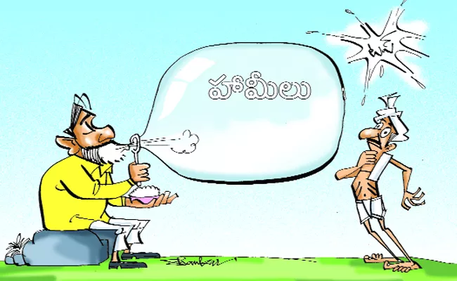 Chandrababu Guarantees Not Implemented In Ongole - Sakshi