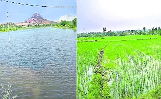 Krishna Water With Huge Water Resource Helps Farmers - Sakshi