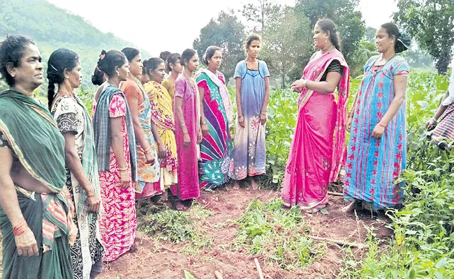 Goddeti Madhavi Are Contesting YSRCP From Araku Parliament Constituency. - Sakshi