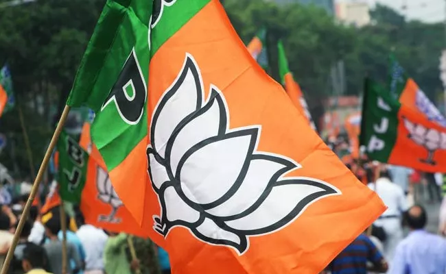 BJP Releases Second List For Telangana Lok Sabha Candidates - Sakshi