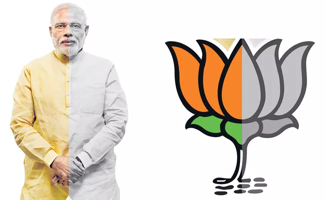 BJP Party Profile And History in Lok Sabha Election - Sakshi