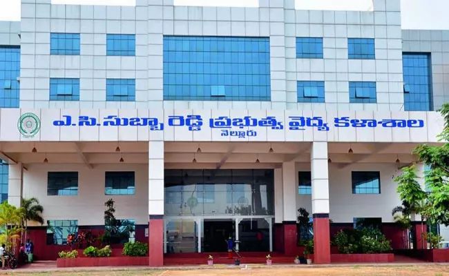 Nellore Cancer Hospital Shift To Vizag - Sakshi