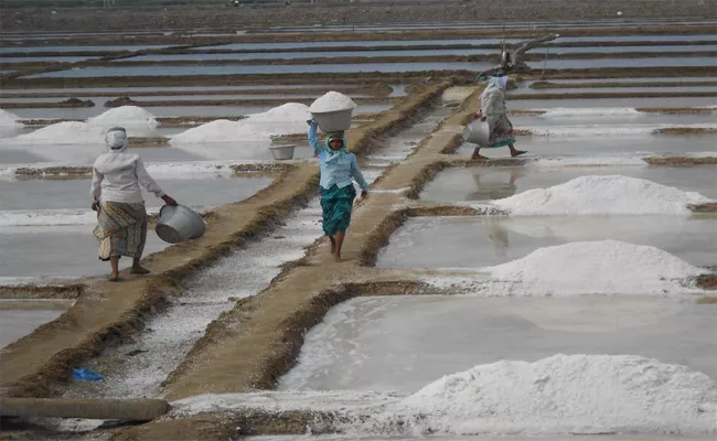 Salt Farmers Facing  Problem With Price In Chinaganjam - Sakshi