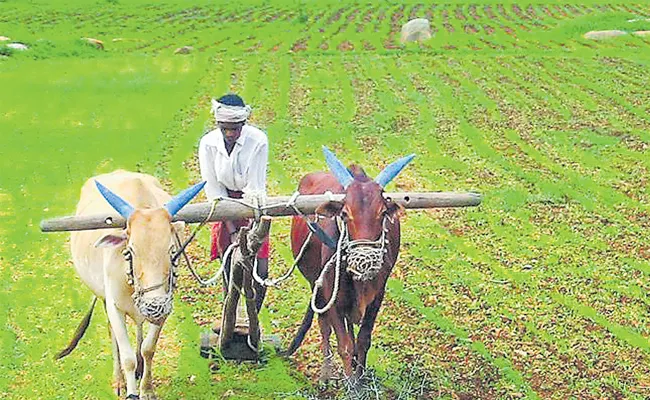 Agricultural subsidies low in India - Sakshi