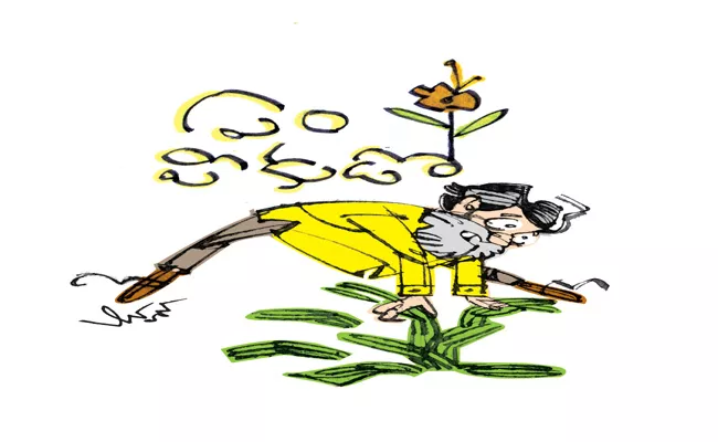 Political Satirical Story On Star Campaigners In Andhra Pradesh - Sakshi