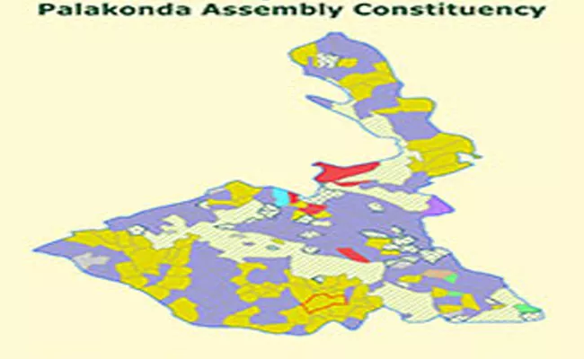 Palakonda Assembly Constituency Review - Sakshi