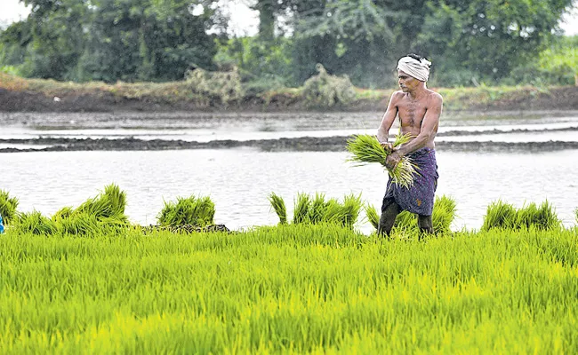 48 million farmers expand in telangana state - Sakshi