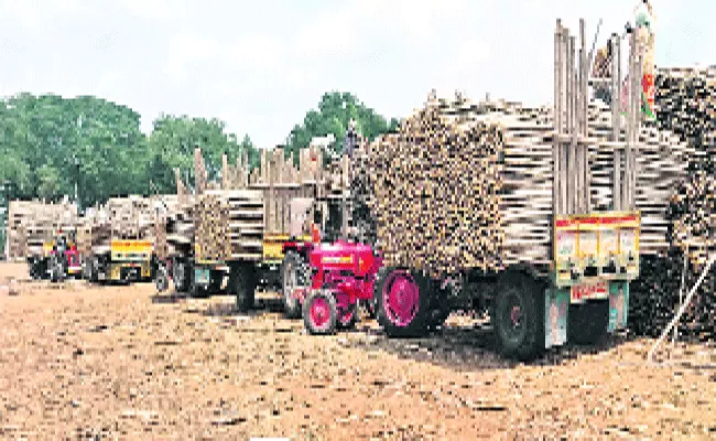 Subabul And Jamail Farmers Protest And Demands For Support Price In Cheemakurthi - Sakshi