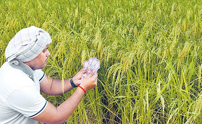  Farmers Scheme is Useful For TRS in The State - Sakshi