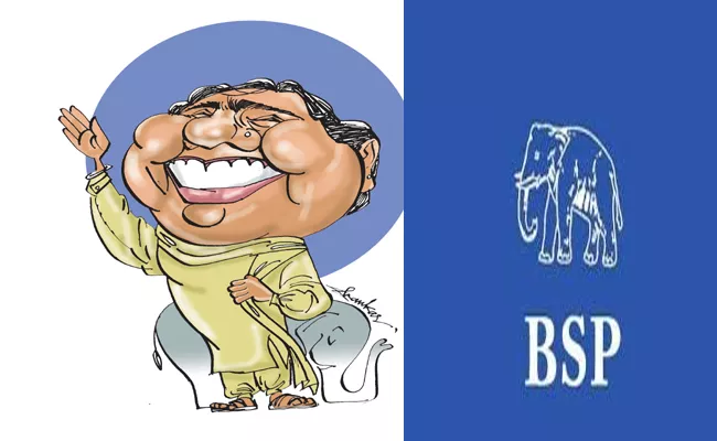 Mayawati  Magic strategy, Great Tantra In Lok Sabha Elections - Sakshi