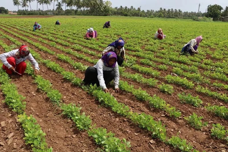 Farmer Mela at 30-31 march - Sakshi