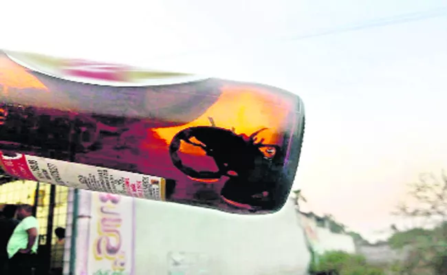 Scorpion In Beer Bottle Warangal Wine Shop - Sakshi