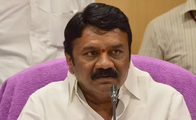 Talasani Srinivas yadav Criticize CM Chandrababu Naidu - Sakshi