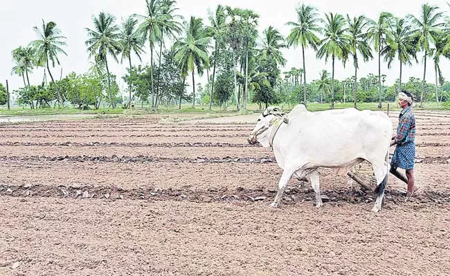 96 Percent Of Rainfall Is Estimated Says - Sakshi