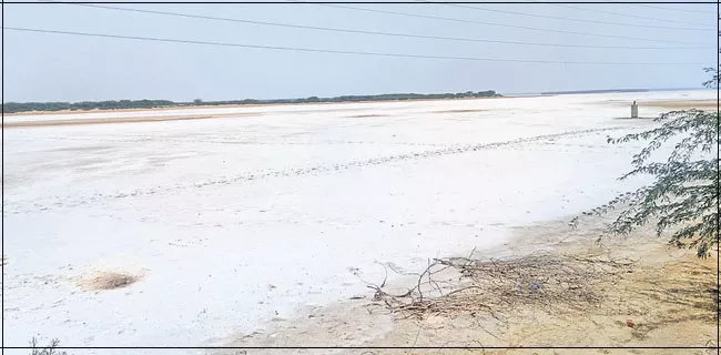 Salt Covered Pulicat Lake - Sakshi