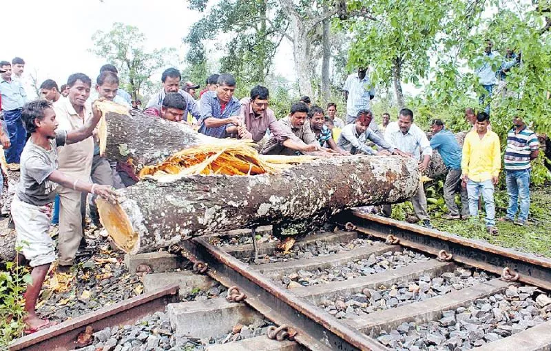 31 dead in heavy rain storm in Gujarat, Madhya Pradesh, Rajasthan and Uttar Pradesh - Sakshi