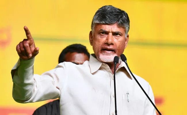 Chandrababu Naidu On Election Results - Sakshi